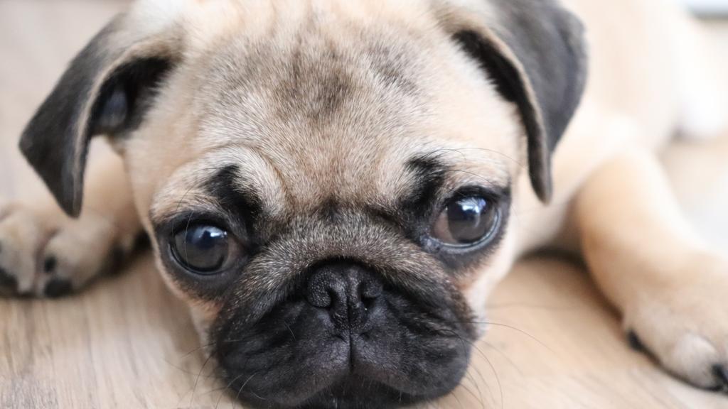 Financial Considerations icon