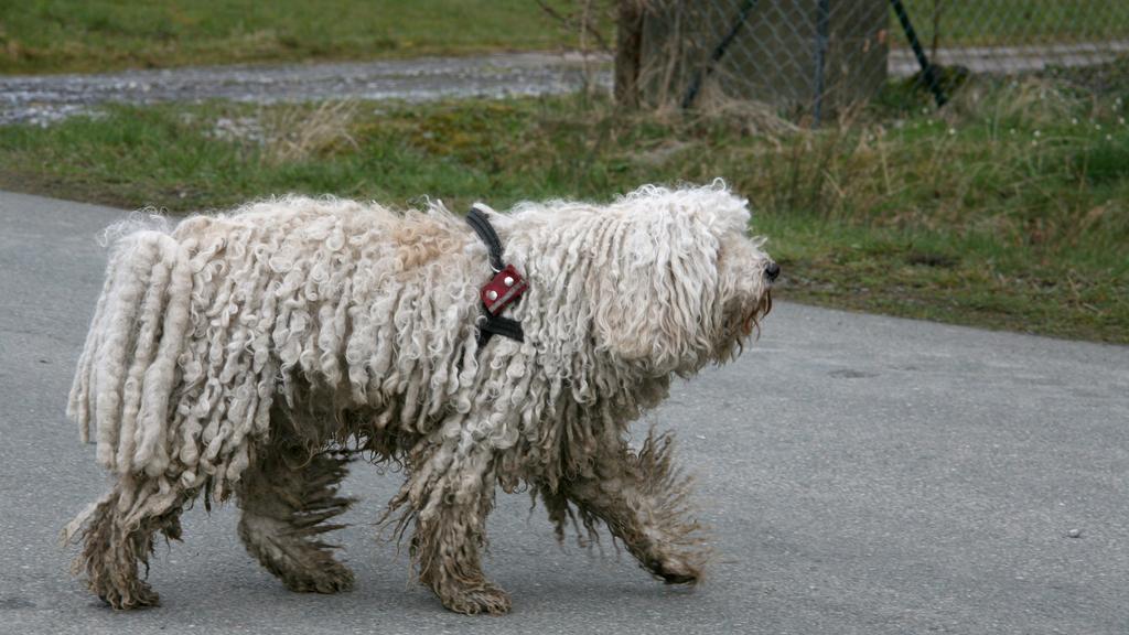 Financial Considerations icon