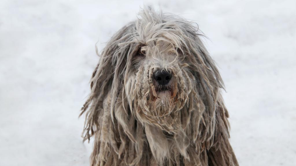 Long-Term Commitment & Special Considerations icon