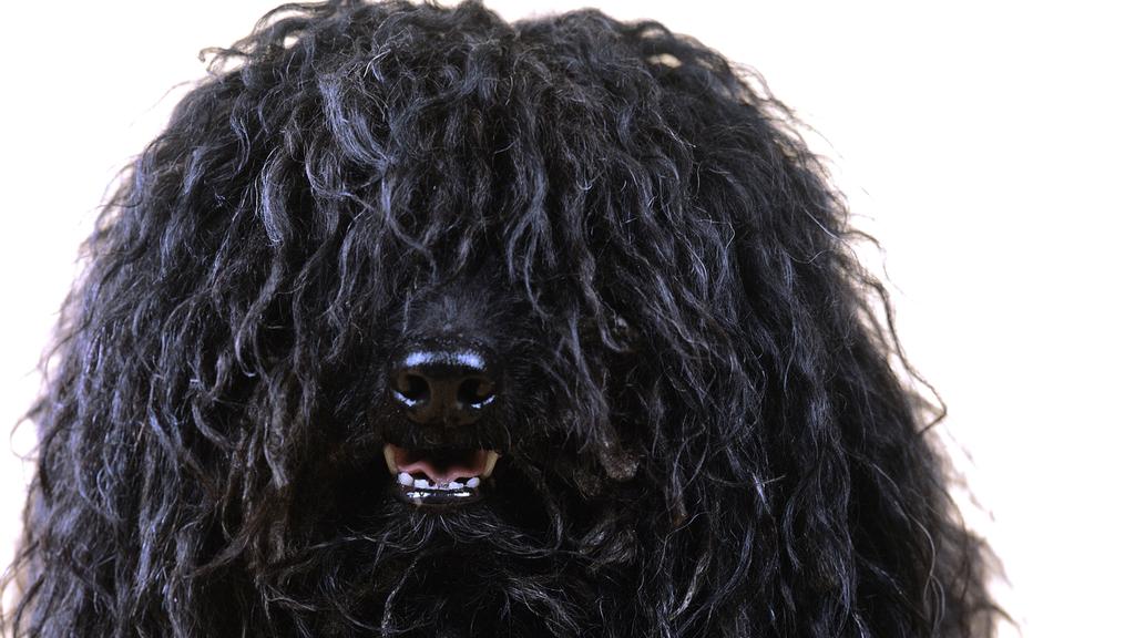 Life Stage Considerations icon