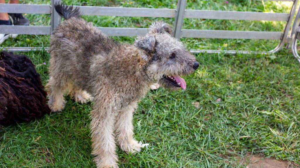 Basic Information icon