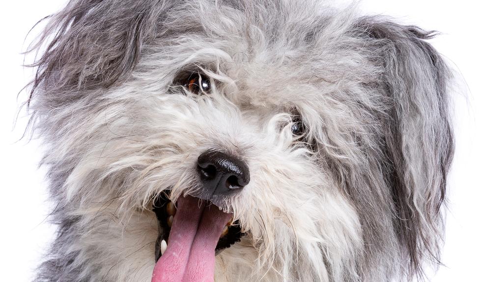 Financial Considerations icon