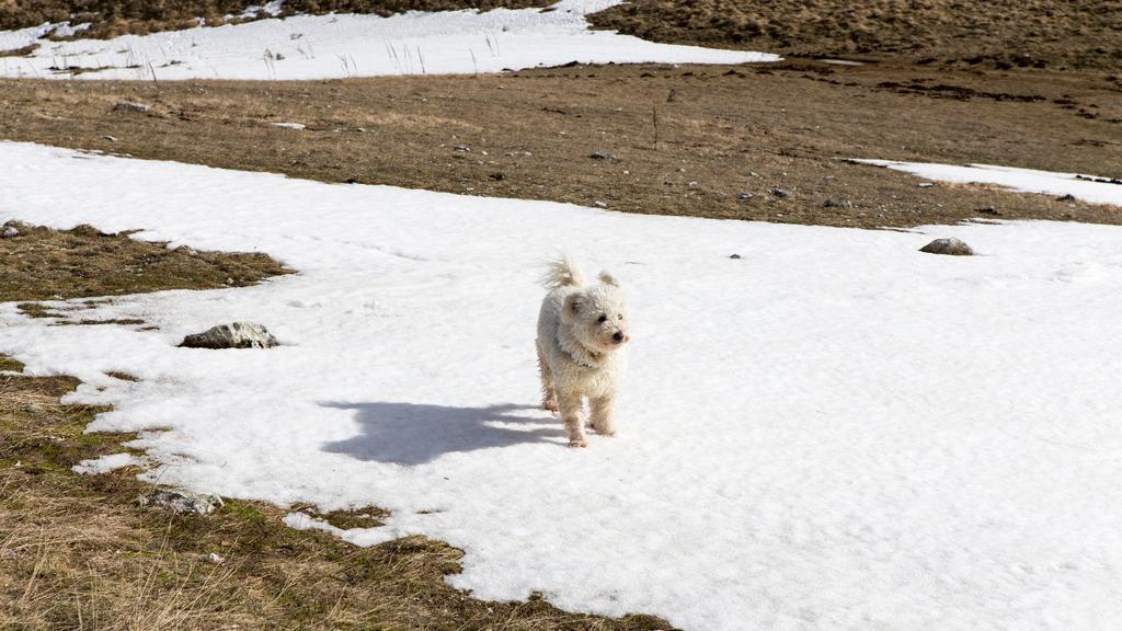 Exercise & Activity Needs icon