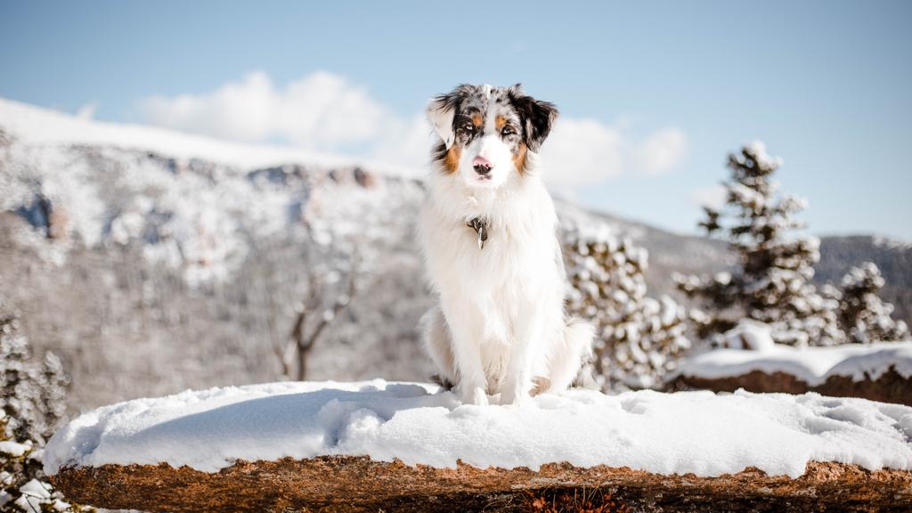 Financial Considerations icon