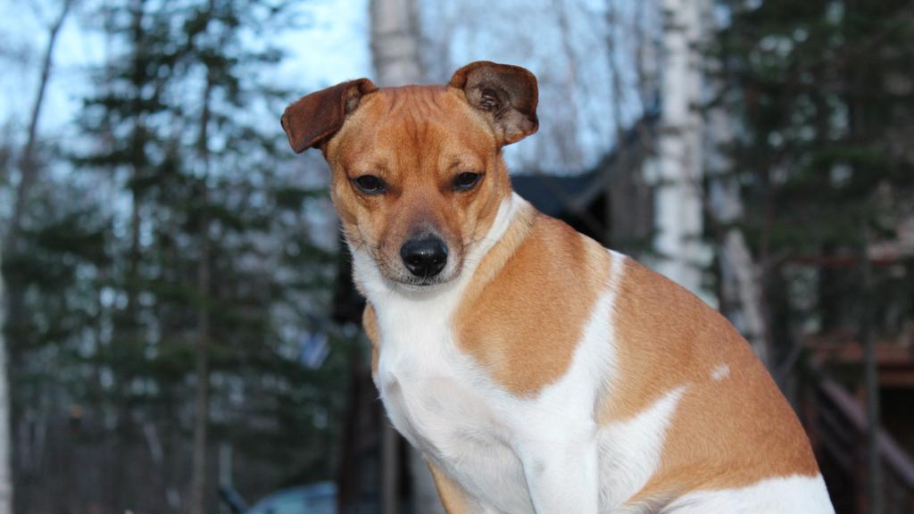 Financial Considerations icon