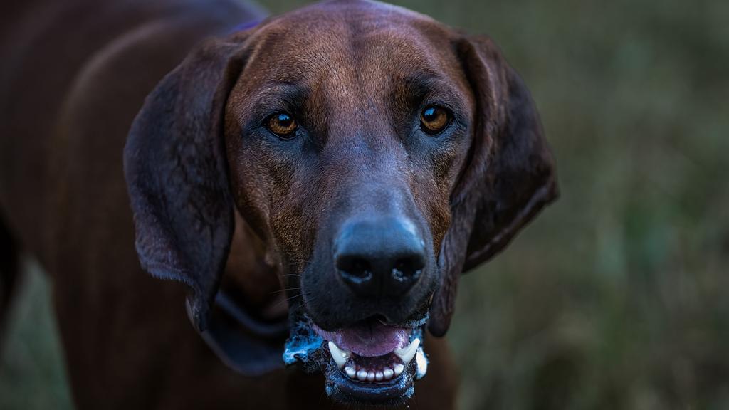 Long-Term Commitment & Special Considerations icon