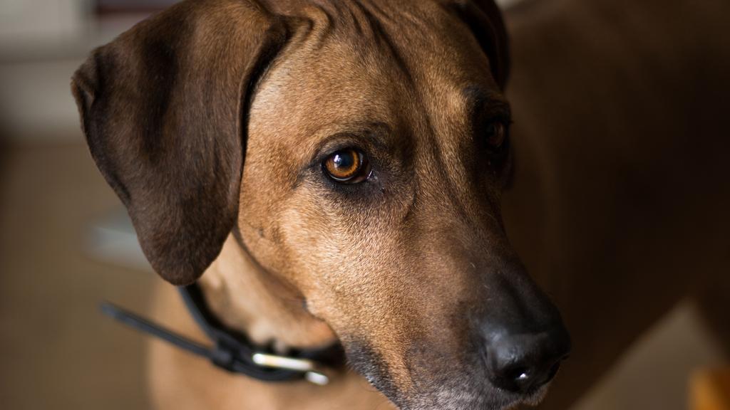 Long-Term Commitment & Special Considerations icon