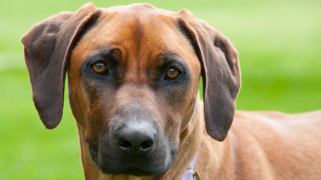 Financial Considerations icon