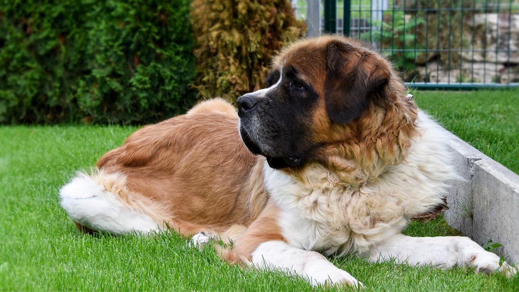 Financial Considerations icon