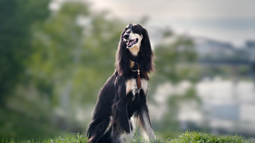 Life Stage Considerations icon