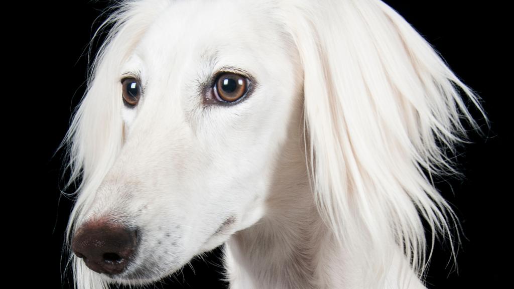 Financial Considerations icon