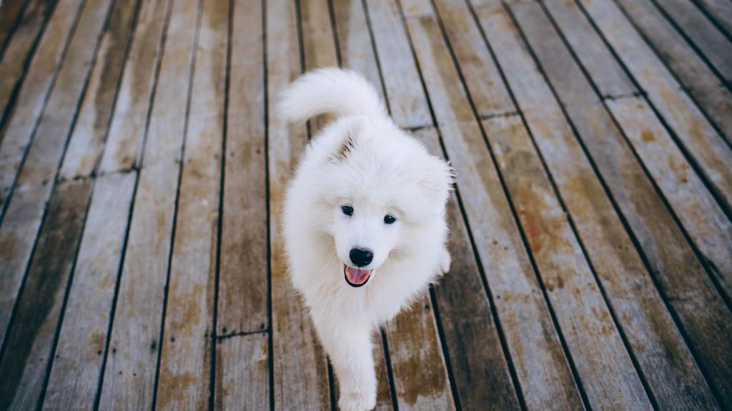 Long-Term Commitment & Special Considerations icon