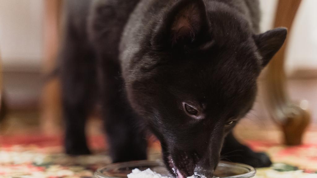 Financial Considerations icon