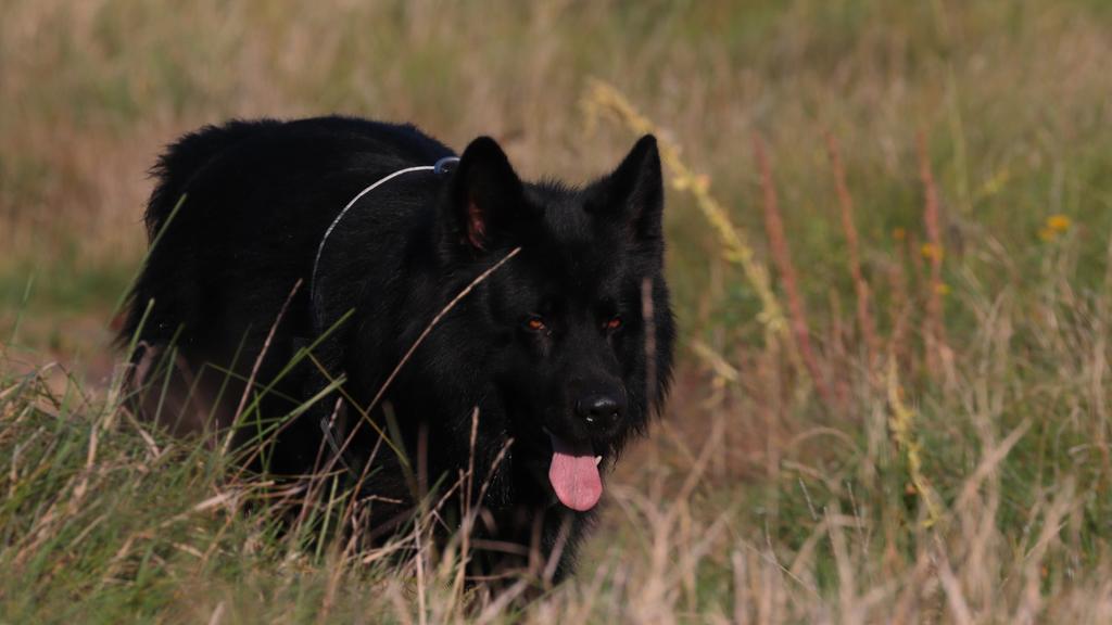 Life Stage Considerations icon