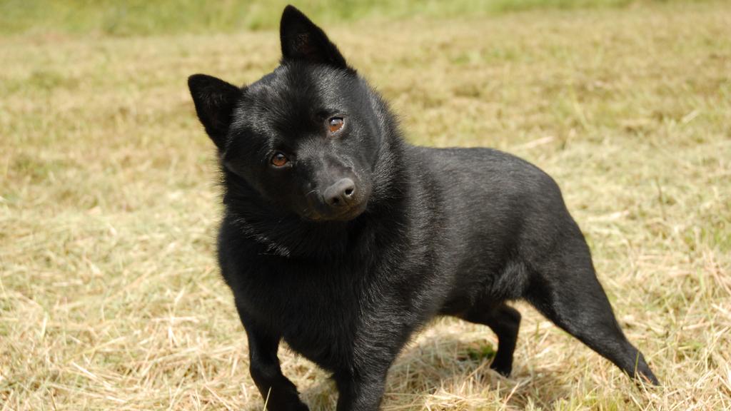 Financial Considerations icon