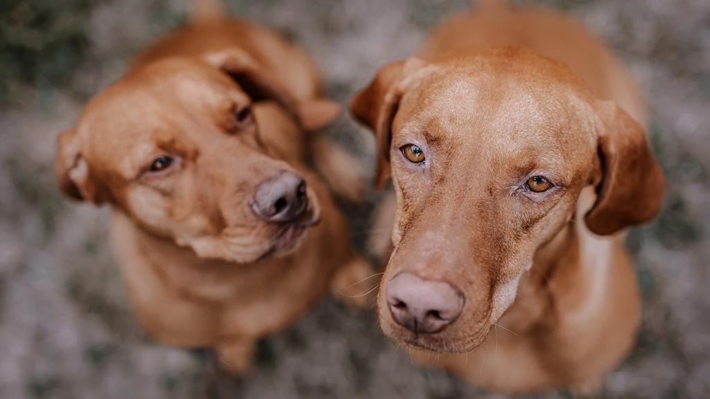 Long-Term Commitment & Special Considerations icon