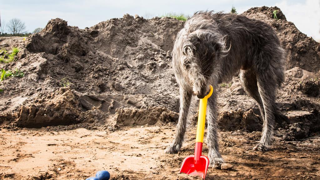 Financial Considerations icon