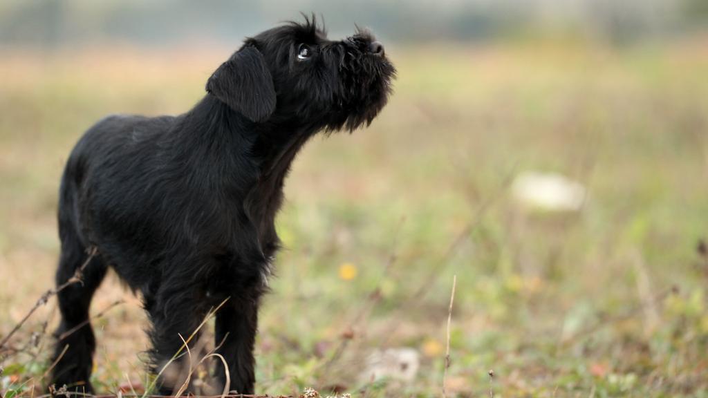 Long-Term Commitment & Special Considerations icon