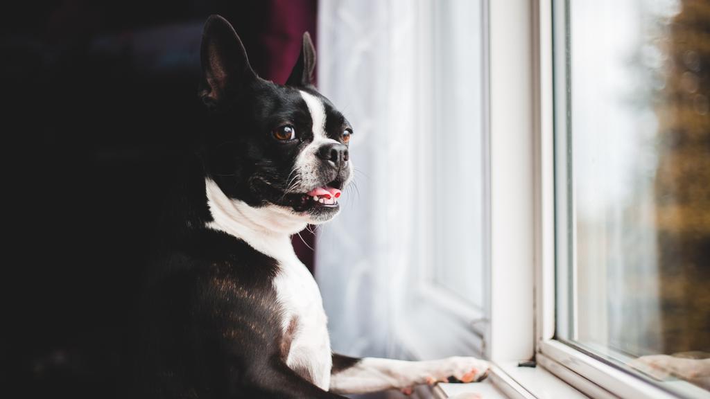 Exercise & Activity Needs icon