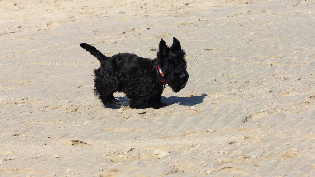 Financial Considerations icon