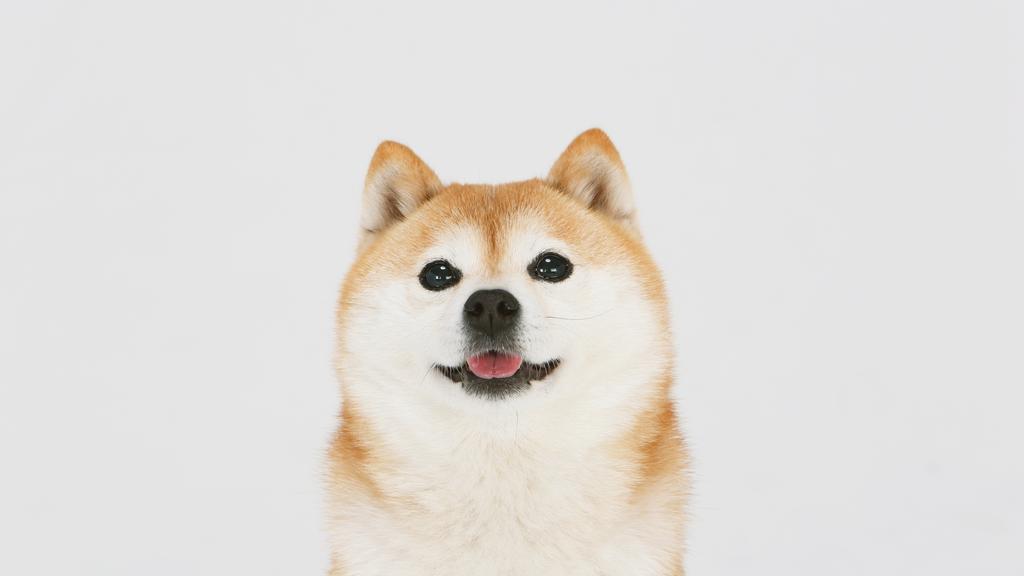 Life Stage Considerations icon