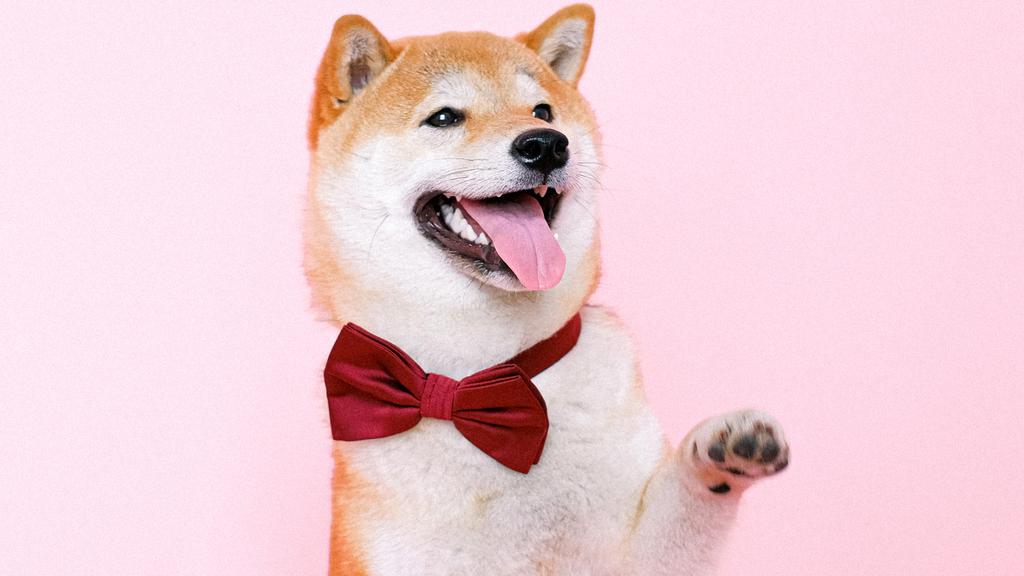 Grooming & Health icon