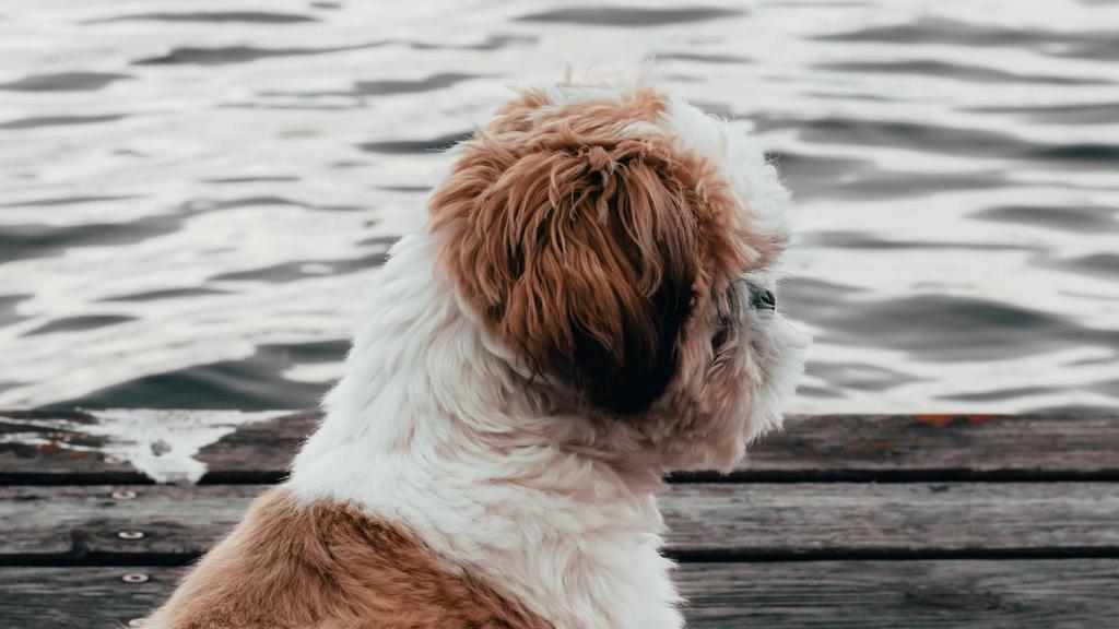 Living Environment Adaptability icon