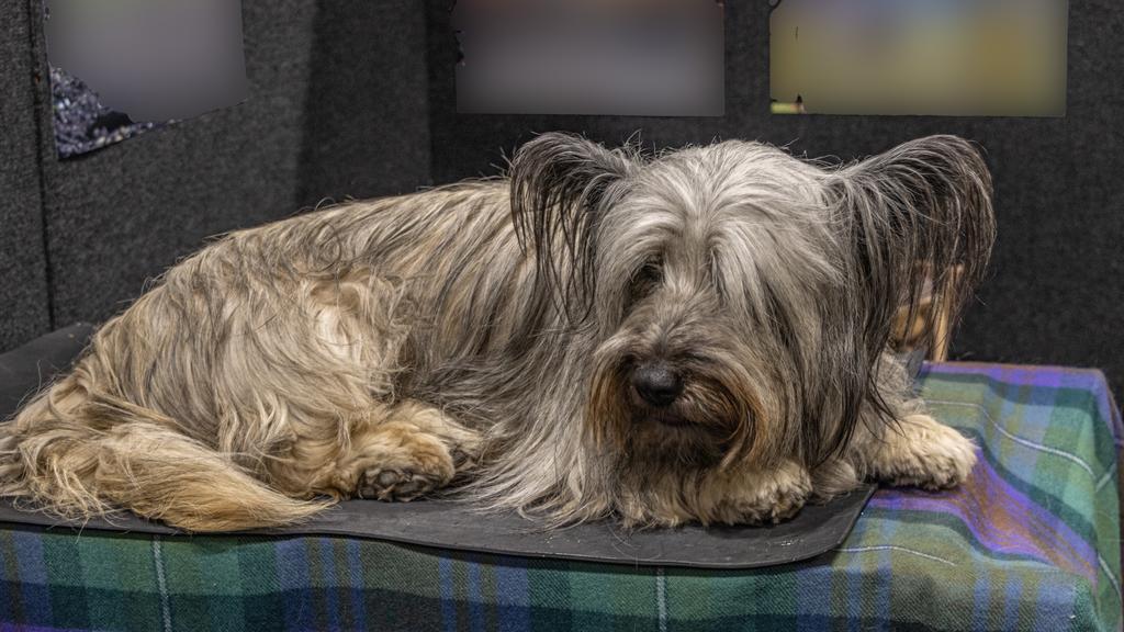 Financial Considerations icon