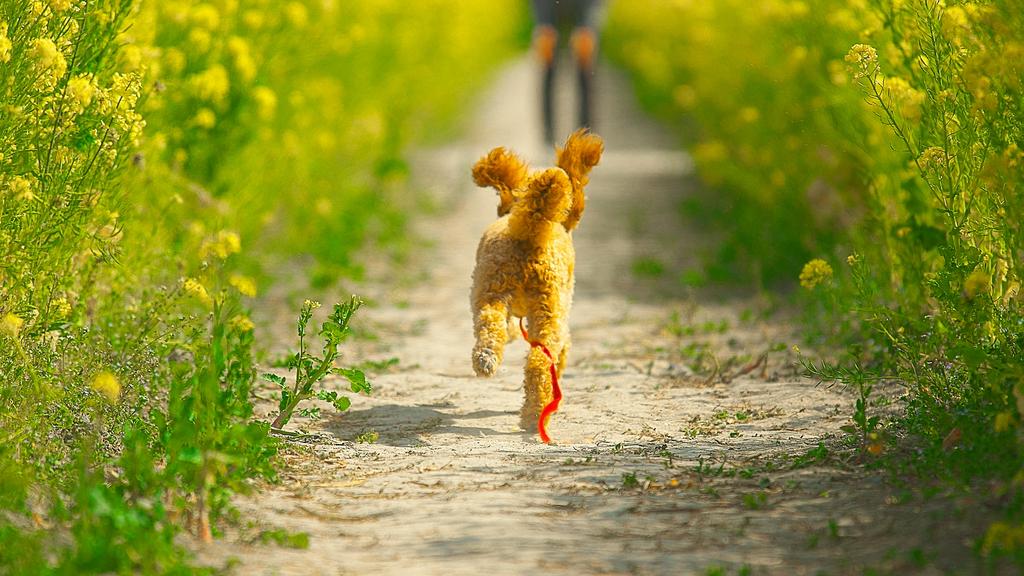 Financial Considerations icon