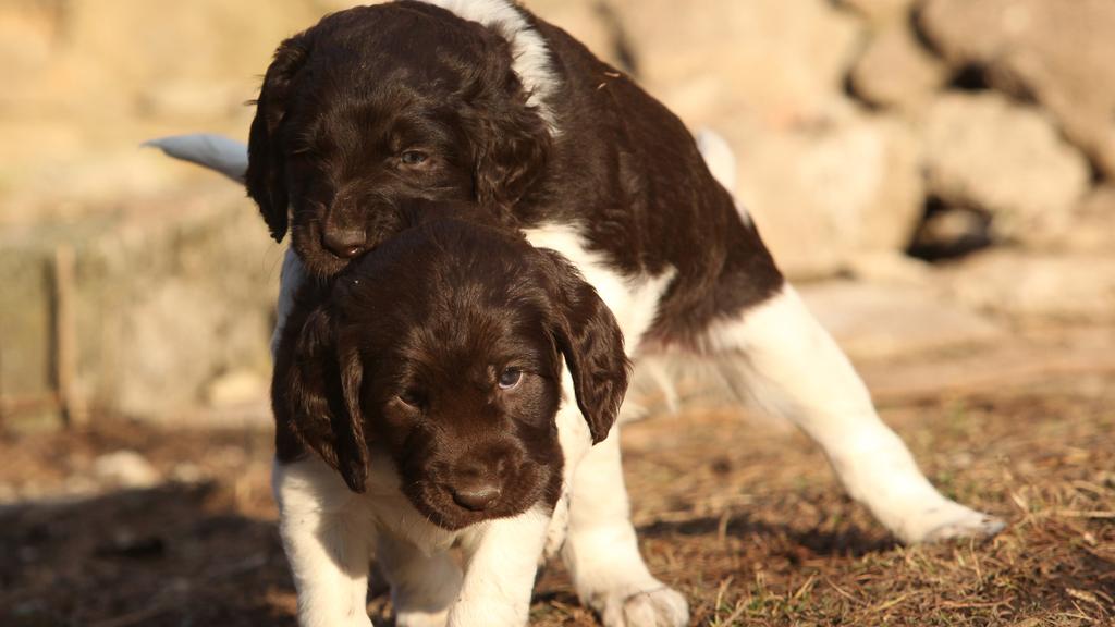 Financial Considerations icon