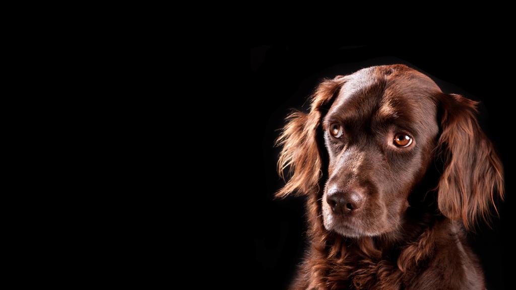 Basic Information icon