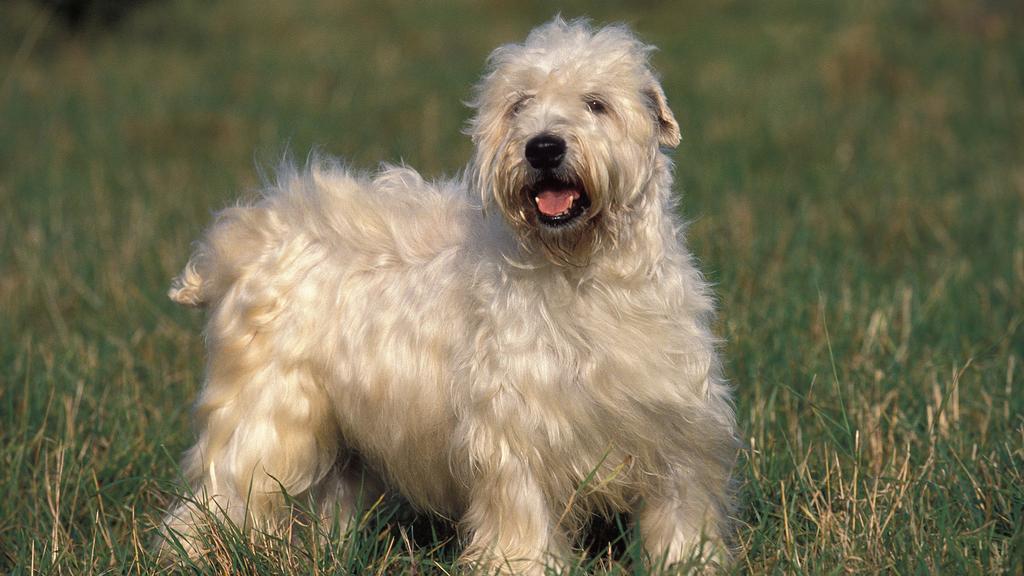 Financial Considerations icon