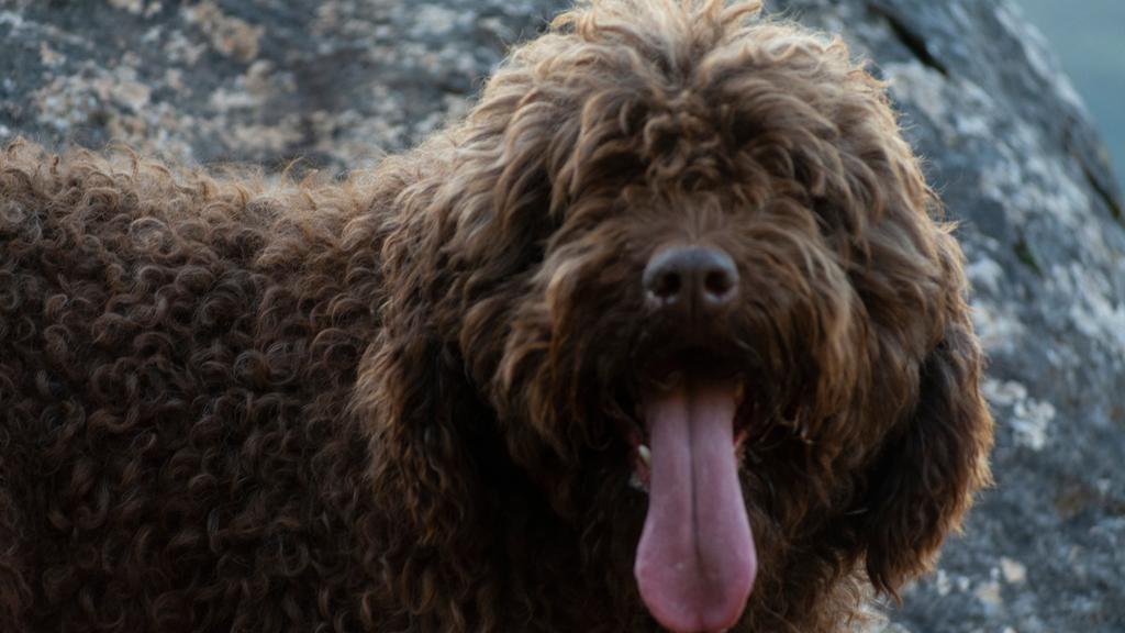 Living Environment Adaptability icon