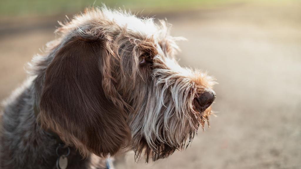 Long-Term Commitment & Special Considerations icon