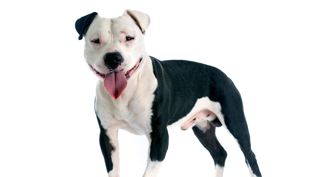 Living Environment Adaptability icon