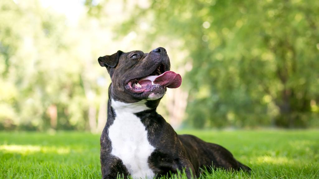 Long-Term Commitment & Special Considerations icon