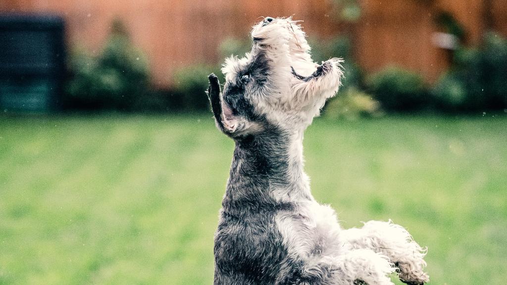 Financial Considerations icon