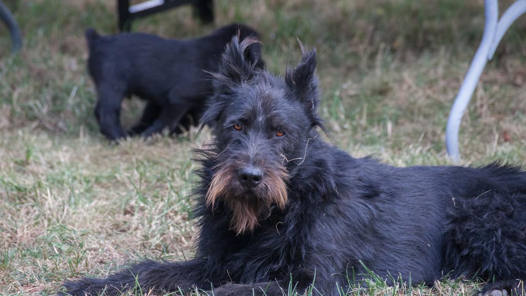 Life Stage Considerations icon