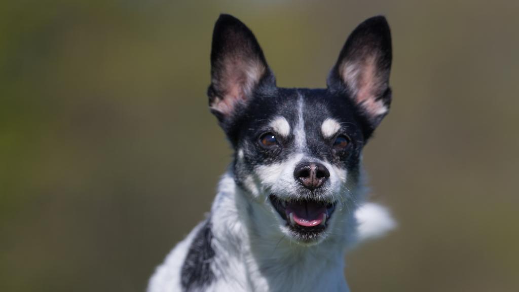 Long-Term Commitment & Special Considerations icon