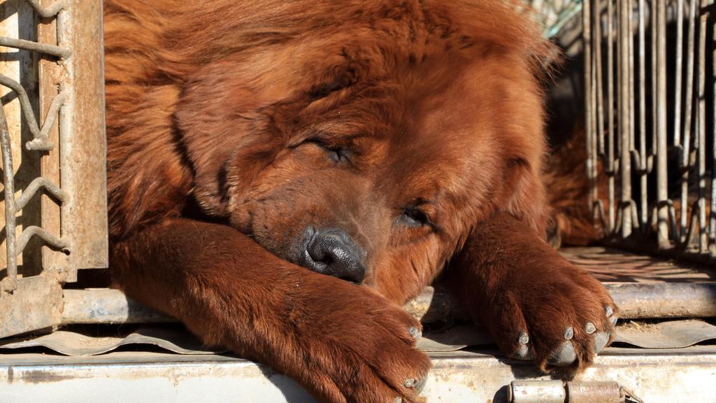 Financial Considerations icon