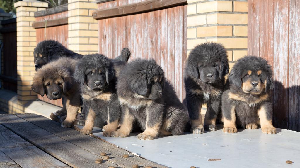 Living Environment Adaptability icon