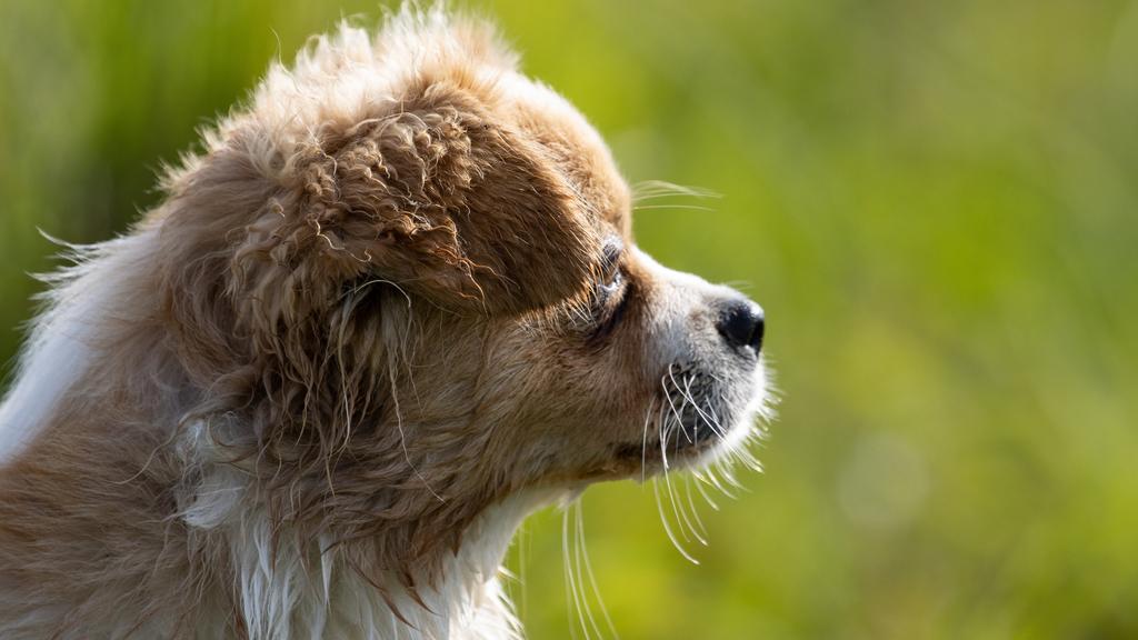 Financial Considerations icon