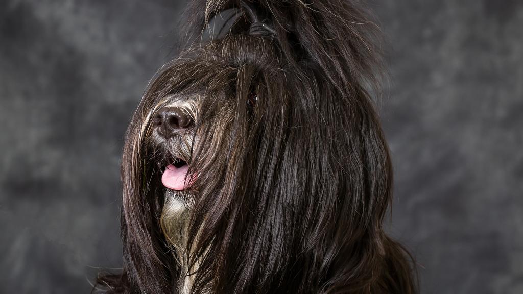 Financial Considerations icon