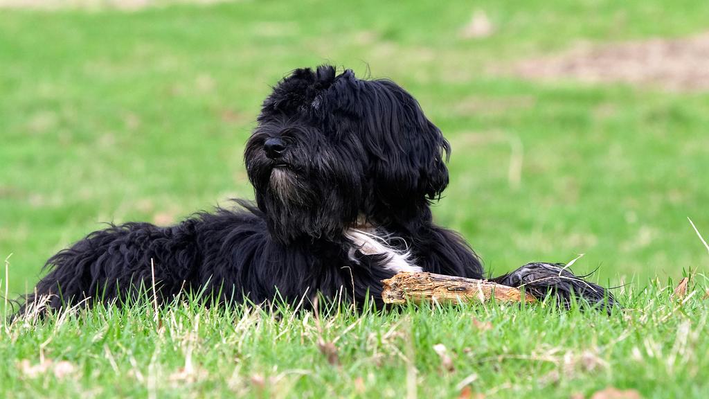 Basic Information icon