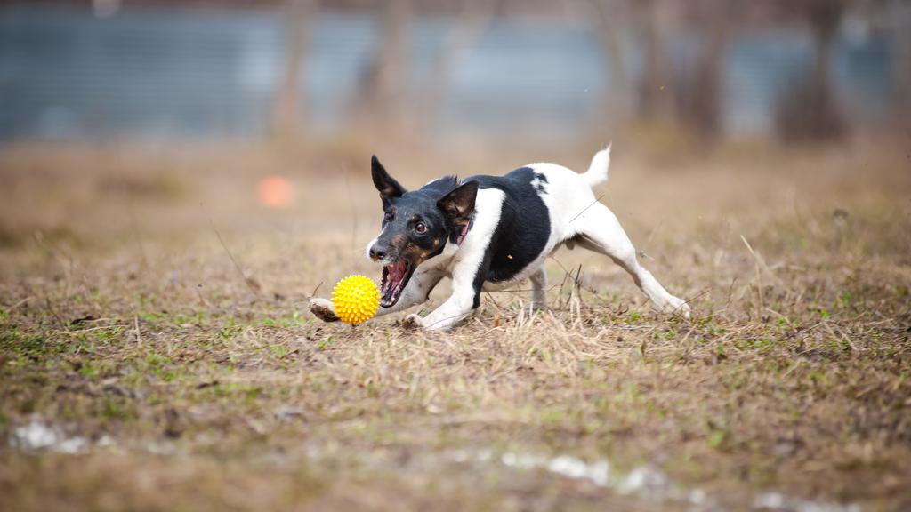 Basic Information icon