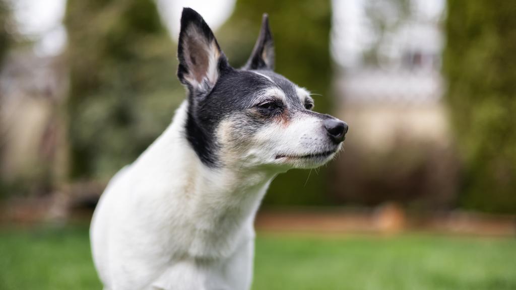 Living Environment Adaptability icon