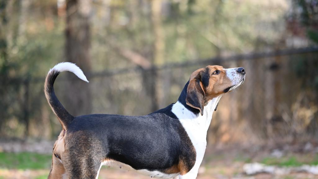 Living Environment Adaptability icon