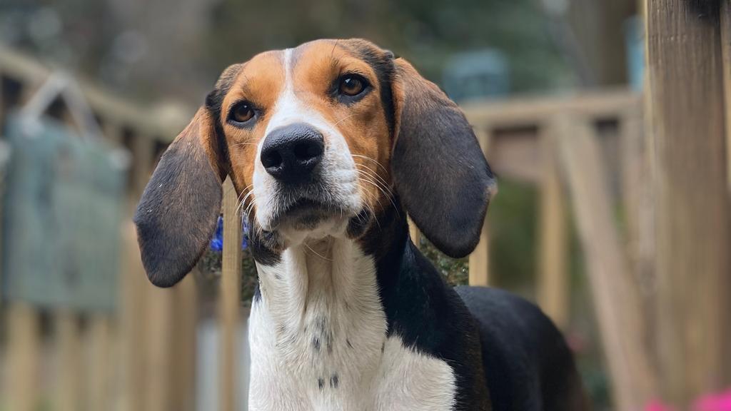 Long-Term Commitment & Special Considerations icon