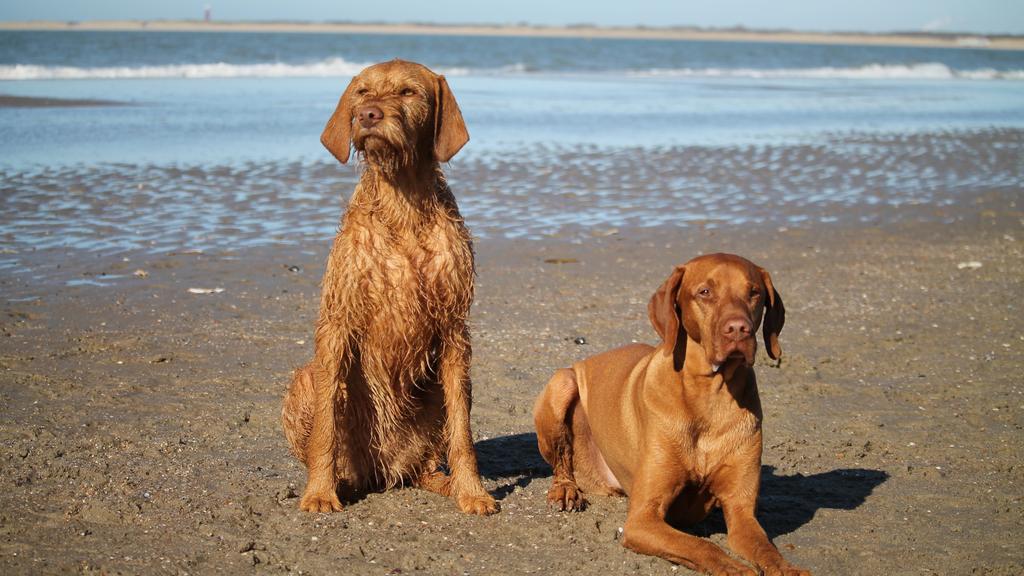 Financial Considerations icon