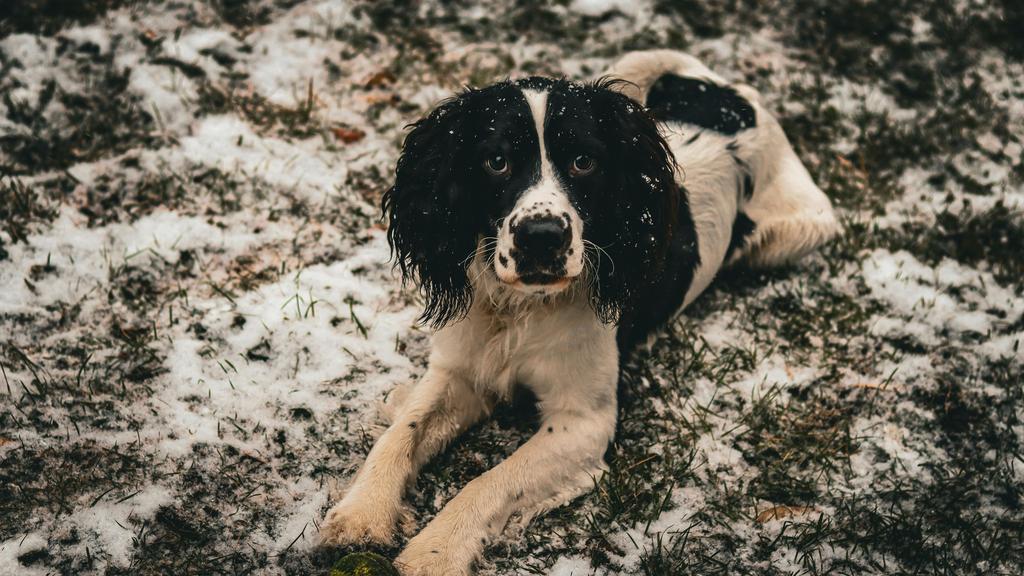 Living Environment Adaptability icon